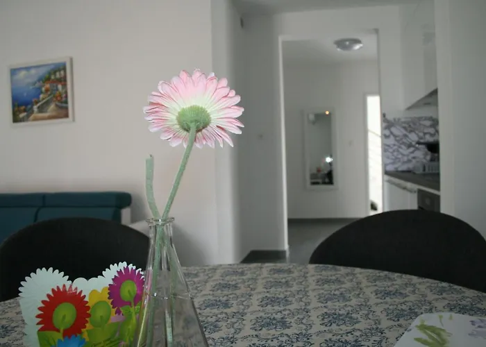 Apartment White Anchor Vodice